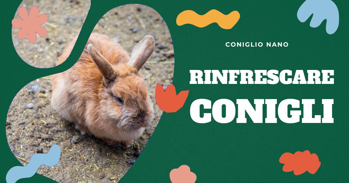 Scopri come rinfrescare il tuo coniglio quando fa caldo con metodi semplici e sicuri. Trova consigli su come usare bottigliette d