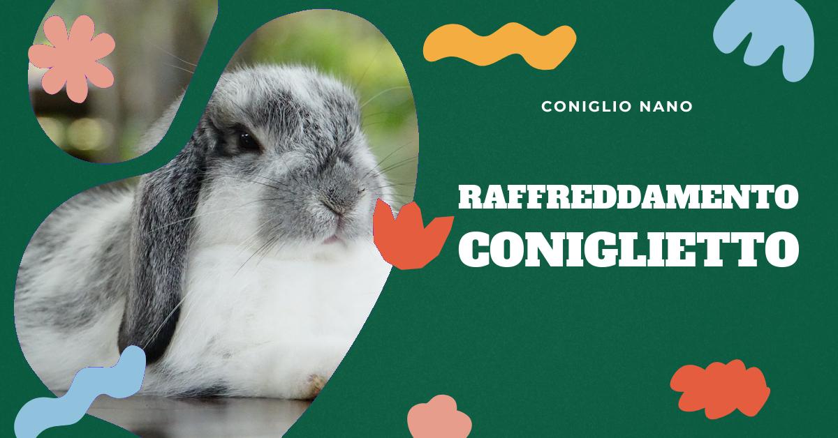 Scopri come raffreddare il tuo coniglio nano durante i periodi di caldo estremo. Trova consigli pratici e sicuri per mantenere fresco il tuo animale domestico, come l