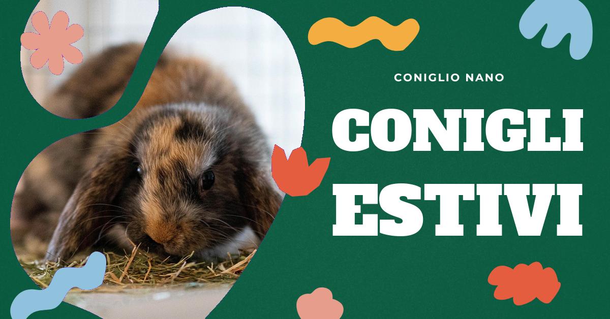 Scopri come raffreddare i conigli durante i periodi di caldo. Trova consigli pratici su come mantenere fresco l