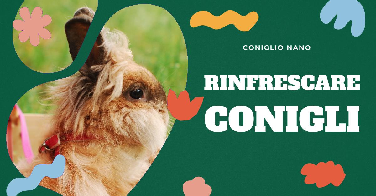 Scopri come aiutare i conigli con il caldo. Trova consigli su come rinfrescare l
