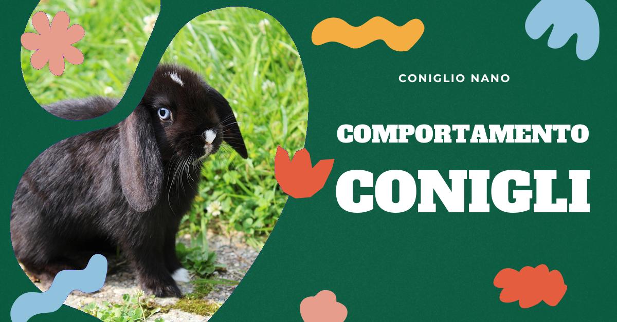 Scopri i segni che un coniglio mostra quando è vicino alla morte. Informazioni dettagliate su comportamenti come l