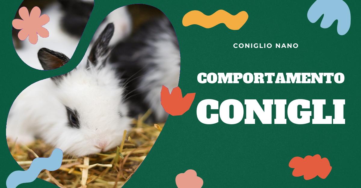 Scopri cosa significa quando il tuo coniglio alza la coda. Approfondisci il linguaggio del corpo del coniglio, come interpretare i suoi movimenti e cosa comunicano. Impara a riconoscere i segnali di affetto e a gestire comportamenti aggressivi o distruttivi.
