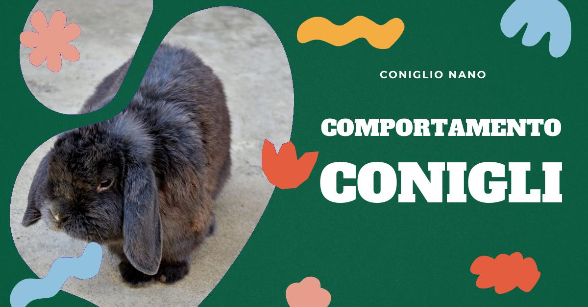 Scopri il significato delle diverse posizioni del coniglio e impara a interpretare il suo linguaggio del corpo. Trova consigli su come comunicare con il tuo coniglio e capire i suoi stati d