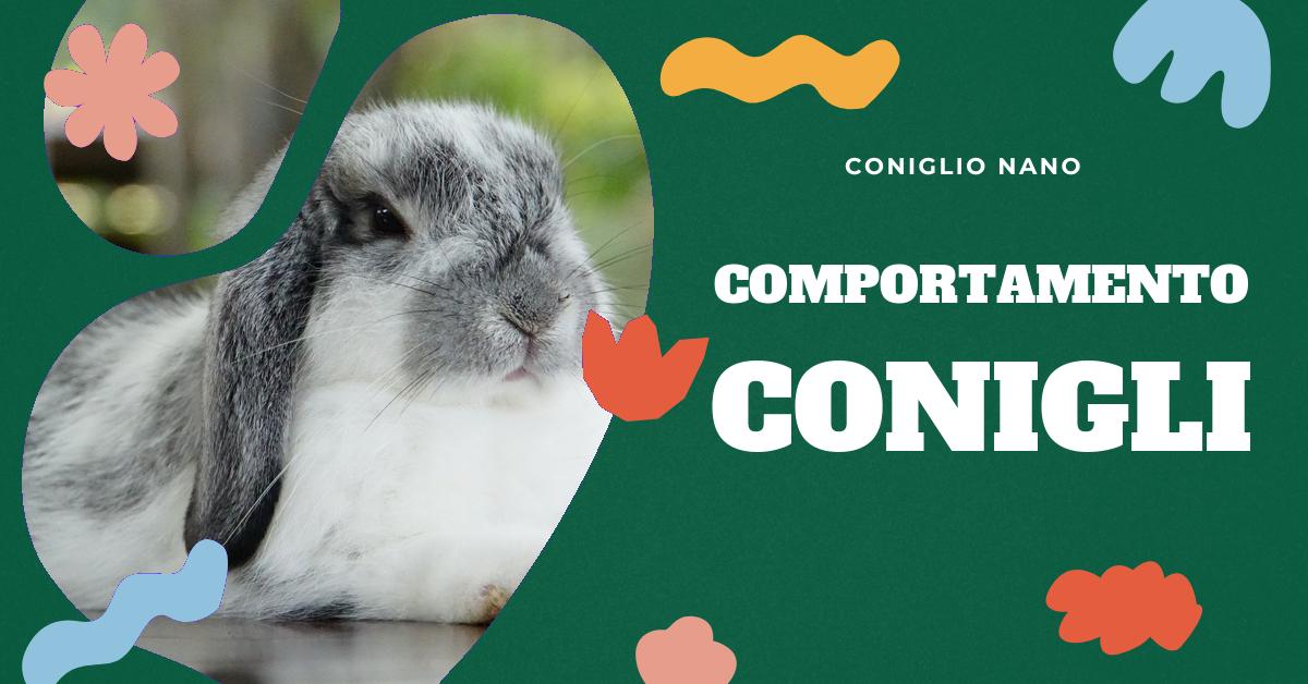 Scopri il significato delle diverse posizioni del coniglio e impara a interpretare il loro linguaggio del corpo. Trova consigli su come riconoscere i segni di felicità, i segnali di richiesta di attenzione e come comprendere le interazioni con l