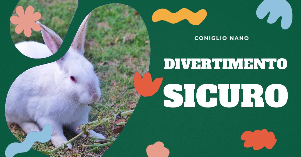 Scopri come giocare con un coniglio in modo sicuro e divertente. Trova consigli su come scegliere i giocattoli adatti, quando farlo giocare e come interagire con lui. Impara a insegnare al tuo coniglio a giocare in modo non aggressivo. Ideale per gli amanti dei conigli domestici.