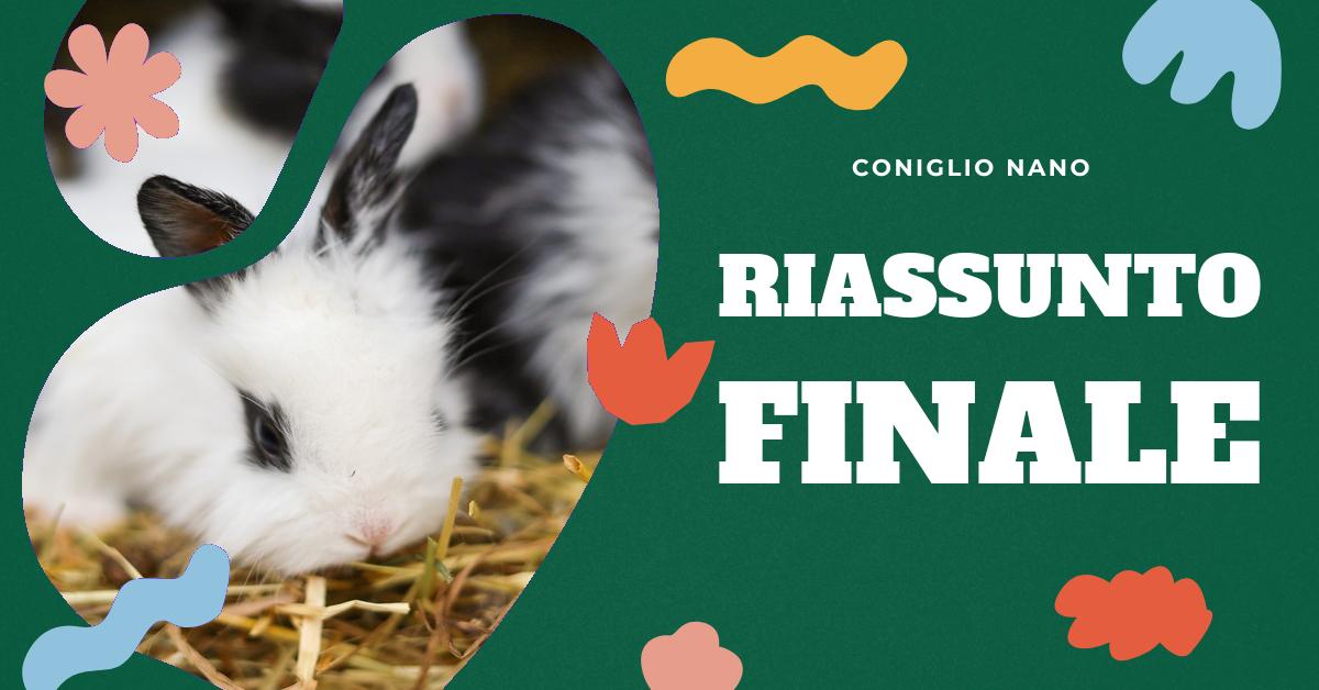 Scopri come finisce il libro La collina dei conigli con il nostro dettagliato riassunto della trama. Esplora anche le diverse interpretazioni del libro attraverso film, serie animate e la miniserie BBC/Netflix. Ideale per gli amanti dei conigli e per chi cerca una comprensione più profonda del libro.