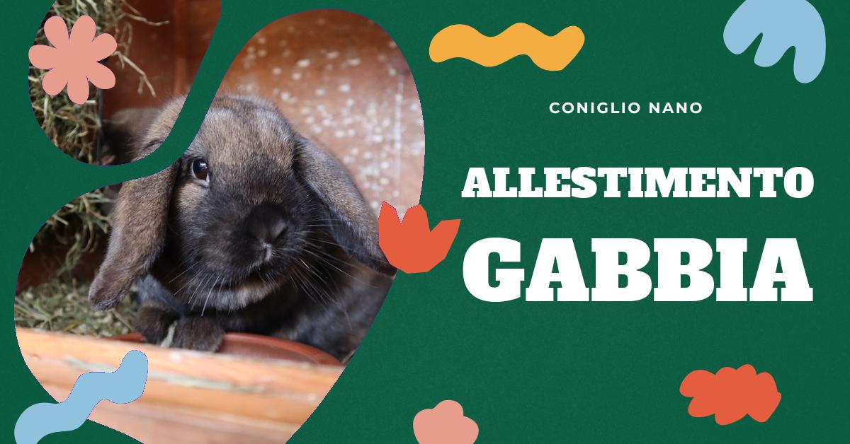 Scopri cosa mettere nella gabbia del tuo coniglio nano per garantire il suo benessere. Trova consigli su come scegliere la gabbia giusta, i materiali sicuri, l