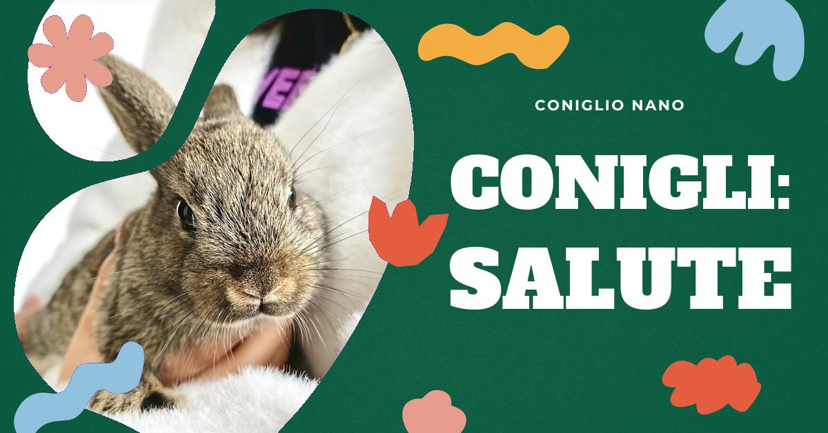 Scopri tutto sul muso del coniglio: dalla sindrome del coniglio alle sue manifestazioni cliniche, evoluzione e trattamento. Ottieni informazioni dettagliate per mantenere il tuo coniglio domestico sano e felice.