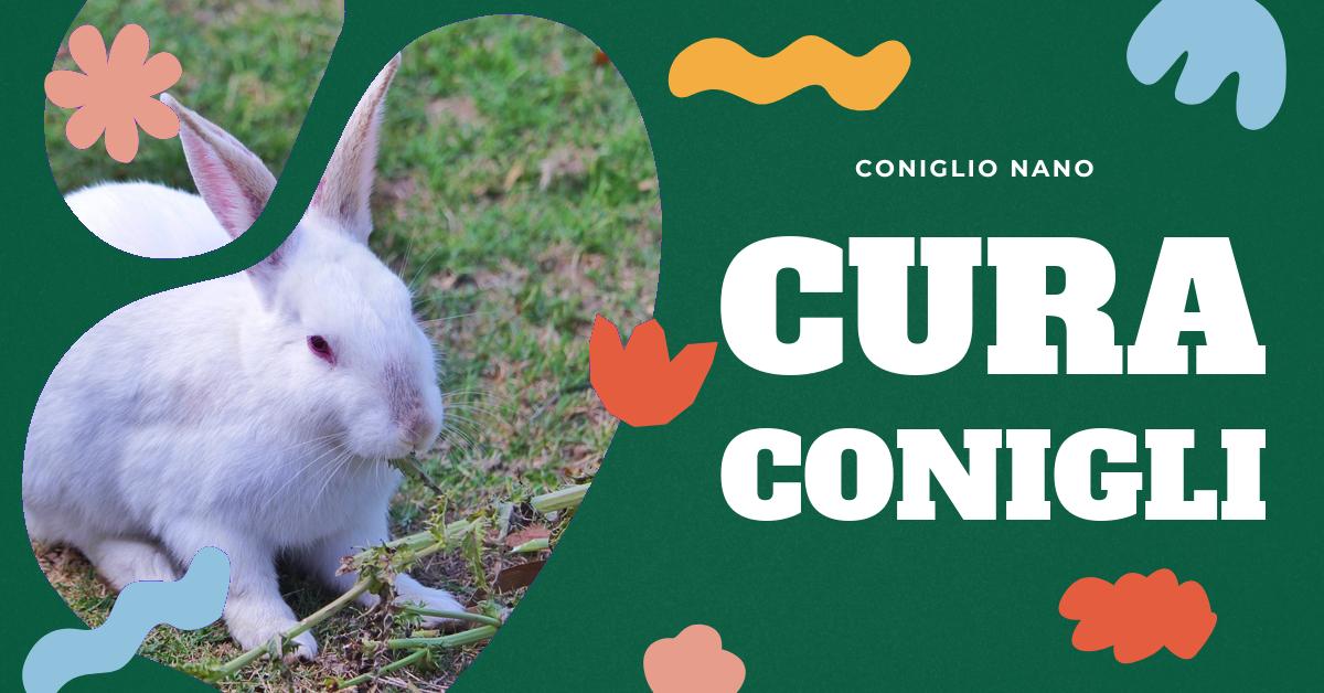 https://www.conigliodomestico.it/hs-fs/hubfs/blogpost-cover/cover-Tenere-il-Pelo-del-tuo-Coniglietto-Pulito-e-Senza-Nodi.jpg?width=1200&height=628&name=cover-Tenere-il-Pelo-del-tuo-Coniglietto-Pulito-e-Senza-Nodi.jpg