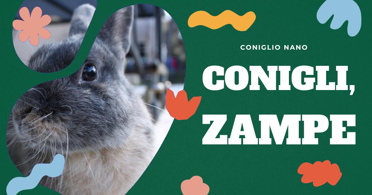 Scopri tutto sulla zampa di coniglio: dalla sua storia come portafortuna, alle sue caratteristiche come amuleto. Approfondisci le origini e la diffusione della superstizione legata a questo simbolo e scopri gli usi comuni delle zampe di coniglio nel passato. Infine, esplora il mondo delle zampe di coniglio sintetiche come souvenir e portachiavi.