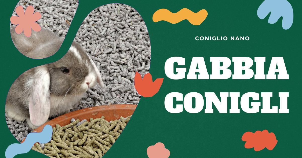Scopri come abituare il tuo coniglio alla lettiera, l