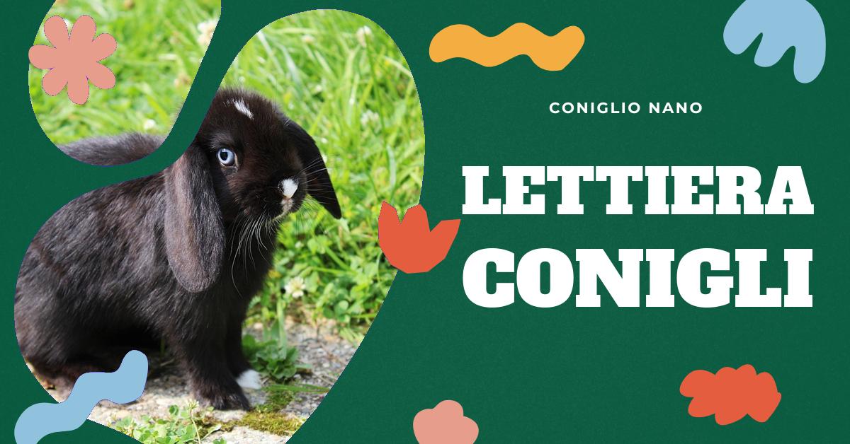 Scopri tutto quello che devi sapere sulla lettiera per conigli: le caratteristiche importanti, i diversi tipi disponibili, come scegliere quella più adatta al tuo amico peloso e consigli per un uso corretto. Trova risposte alle domande più frequenti sulla gestione igienica del tuo coniglio domestico.