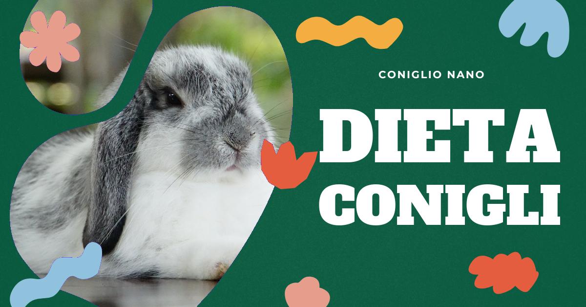 Scopri cosa mangia un coniglio nano per garantire una dieta sana e bilanciata. Approfondisci le caratteristiche del fieno, l