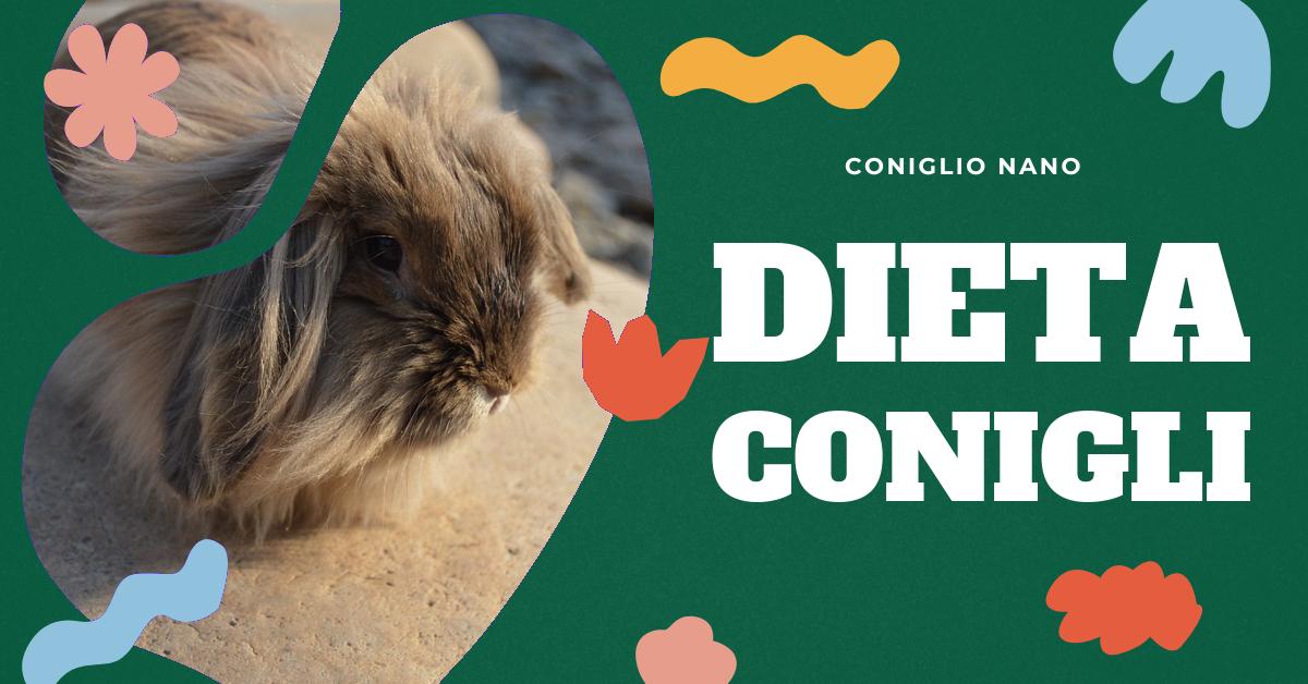 Scopri cosa mangiano i conigli domestici per garantire la loro salute e benessere. Approfondisci la dieta naturale dei conigli, l