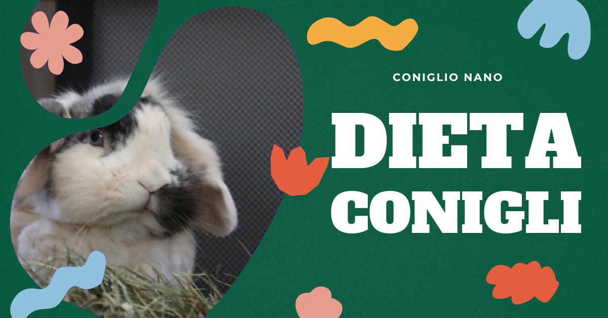 Scopri cosa mangiano i conigli in natura e domestici, esempi di alimentazione sana e consigli su mangimi per conigli. Ottieni risposte alle tue domande sulla migliore alimentazione per il tuo coniglio.