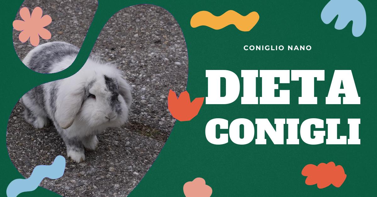 Scopri cosa mangiano i conigli in natura e domestici, esempi di alimentazione sana, consigli sul mangime e risposte alle domande più comuni sulla dieta dei conigli. Informazioni dettagliate per garantire il benessere del tuo coniglio.