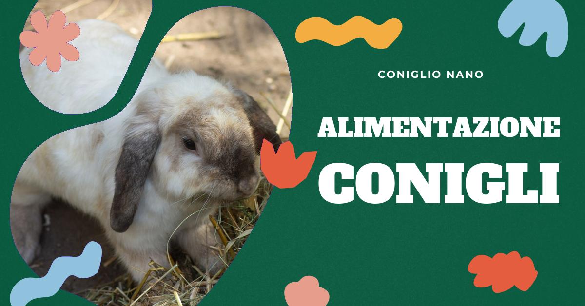 Scopri cosa mangia un coniglio, sia in natura che come animale domestico. Trova consigli utili sull