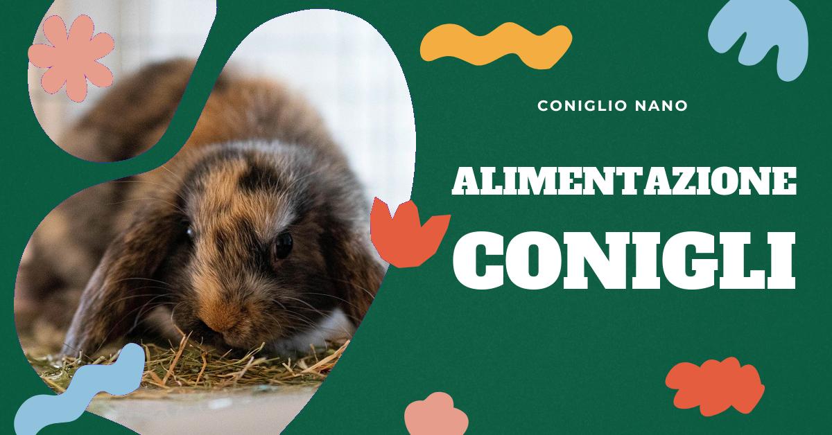 Scopri cosa mangia il coniglio, sia in natura che come animale domestico. Approfondisci la dieta corretta, l