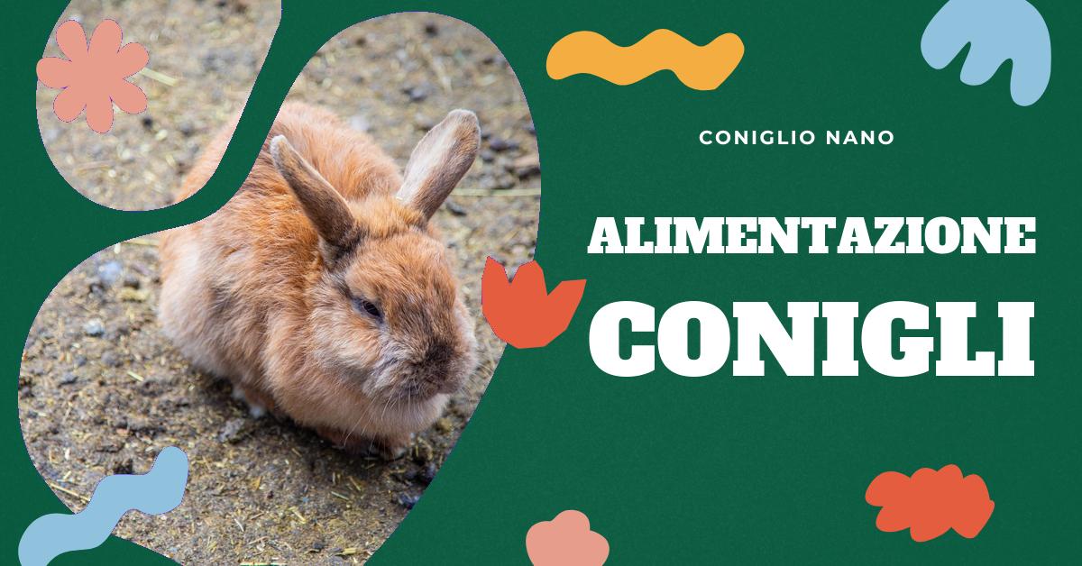 Scopri cosa mangiano i conigli, sia in natura che come animali domestici. Trova consigli su una dieta sana e bilanciata per il tuo coniglio e scopri se il mangime per conigli è una buona scelta. Informazioni dettagliate e accurate per garantire il benessere del tuo amico peloso.