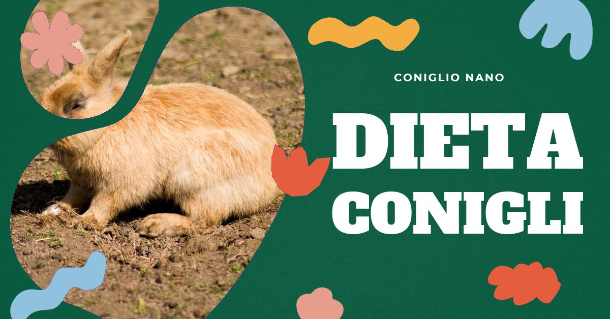 Scopri cosa mangia un coniglio, sia in natura che come animale domestico. Approfondisci la dieta corretta del coniglio, esempi di alimentazione sana e l