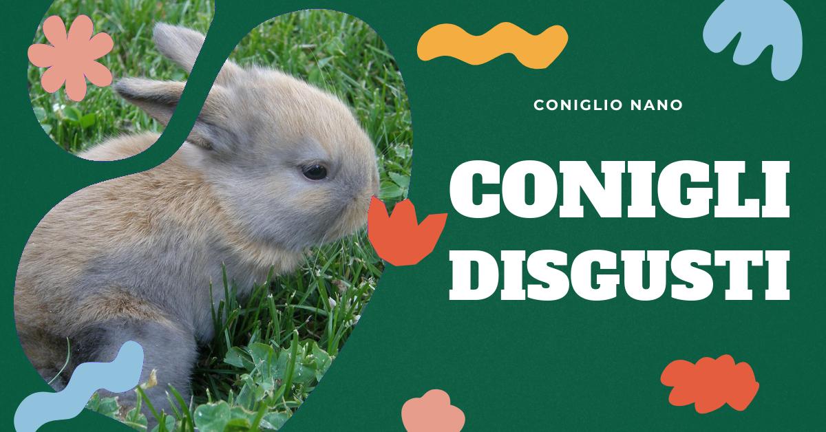 Scopri quali sono gli alimenti, le attività e gli ambienti che i conigli non apprezzano o che potrebbero essere dannosi per loro. Trova informazioni dettagliate su piante e cibi tossici per i conigli e come creare un ambiente sicuro e confortevole per il tuo amico peloso. Ideale per proprietari di conigli o per chi sta pensando di adottarne uno.