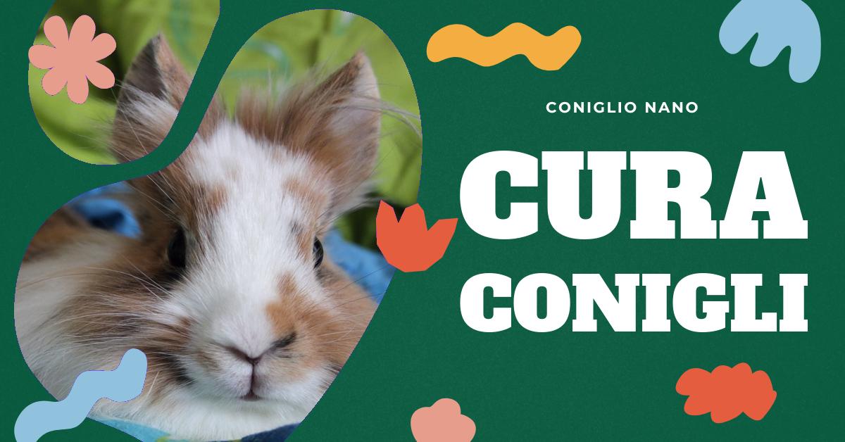 Scopri cosa non piace a un coniglio per garantire la sua salute e felicità. Informazioni su cibi da evitare, piante tossiche e cibi sconsigliati per il tuo amico peloso. Consigli utili per i proprietari di conigli.