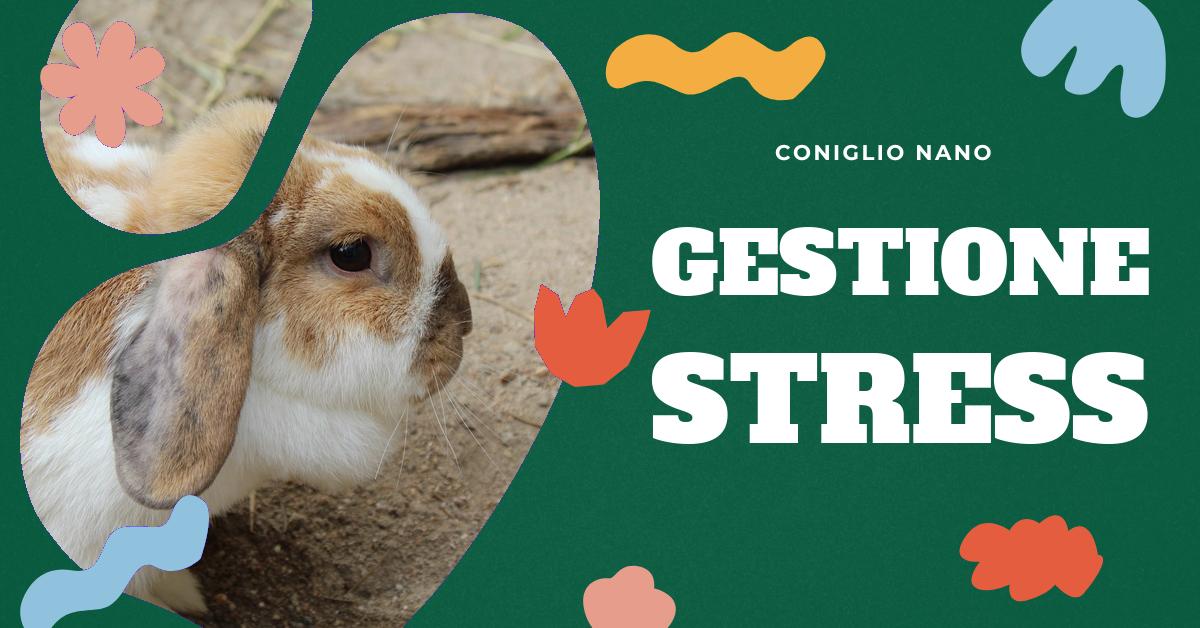 Scopri come aiutare il tuo coniglio a gestire lo stress delle festività. Trova consigli su come monitorare le feci, la dieta corretta e come osservare il comportamento del tuo coniglio per individuare eventuali problemi di salute. Ottieni informazioni su cosa fare in caso di comportamenti strani o defecazione non ottimale.