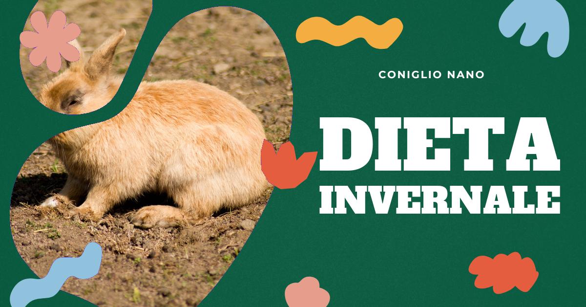 Scopri come modificare la dieta dei tuoi conigli nani durante l