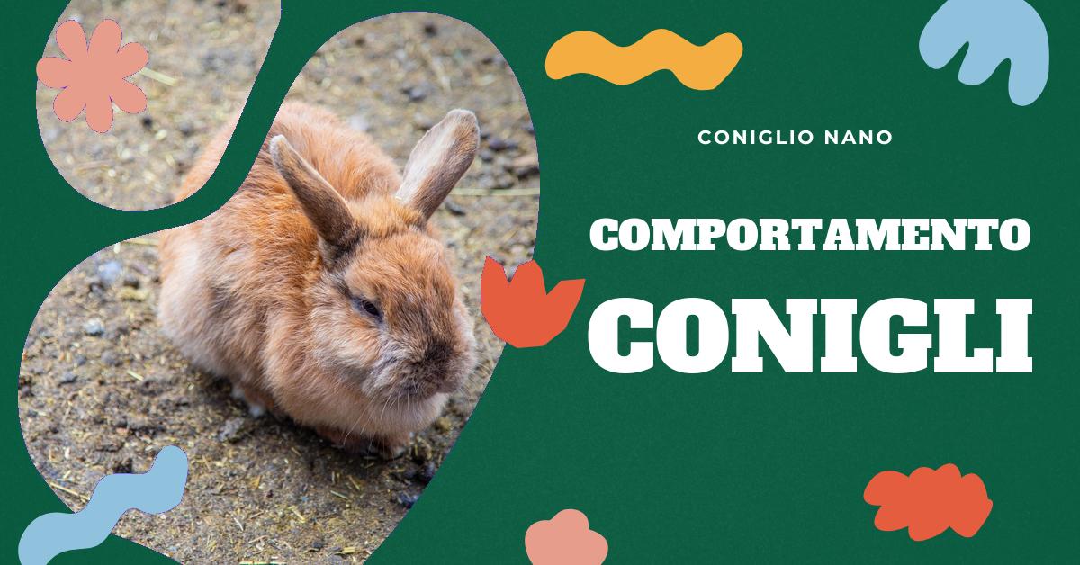 Scopri come capire se il tuo coniglio è arrabbiato con te. Impara a interpretare i versi e il linguaggio del corpo del tuo coniglio, comprendi la sua psicologia e scopri come gestire un coniglio aggressivo. Informazioni utili per migliorare il tuo rapporto con il tuo amico peloso.