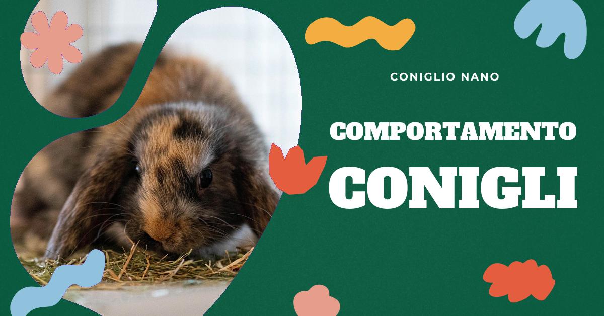 Scopri cosa significa quando il tuo coniglio scodinzola. Approfondisci il linguaggio dei conigli e impara a interpretare i loro segnali, dai saltelli alle zampate, dai battiti dei denti ai flop. Scopri come comunicare con il tuo amico peloso e capire i suoi comportamenti.