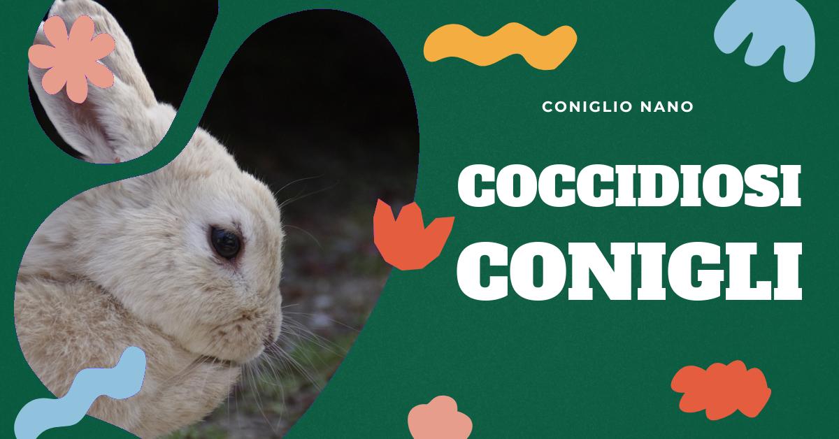 Scopri tutto sulla coccidiosi nei conigli: sintomi, cause, trattamenti e prevenzione. Trova consigli utili per gestire questa malattia e mantenere il tuo coniglio domestico in salute. Informazioni dettagliate per appassionati di conigli e professionisti del settore veterinario.