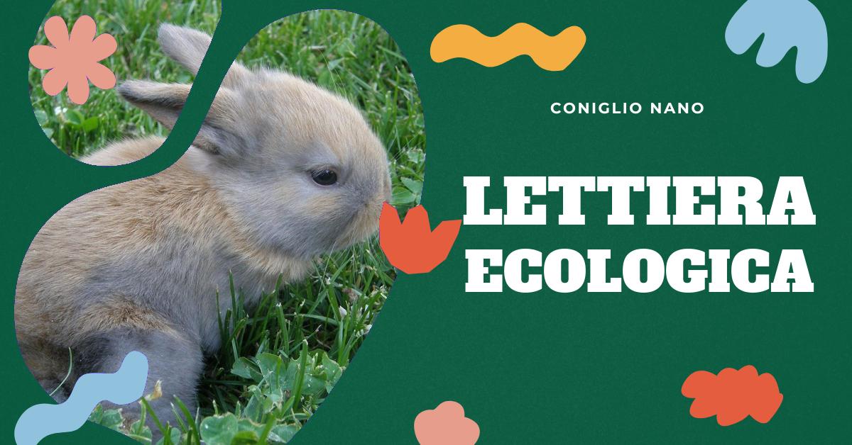 Scopri come creare una lettiera per coniglio fai da te con la nostra dettagliata spiegazione. Trova consigli su come addestrare il tuo coniglio, dove posizionare la lettiera e come abituarlo a usarla. Ideale per gli amanti dei conigli domestici che cercano soluzioni personalizzate ed ecologiche.