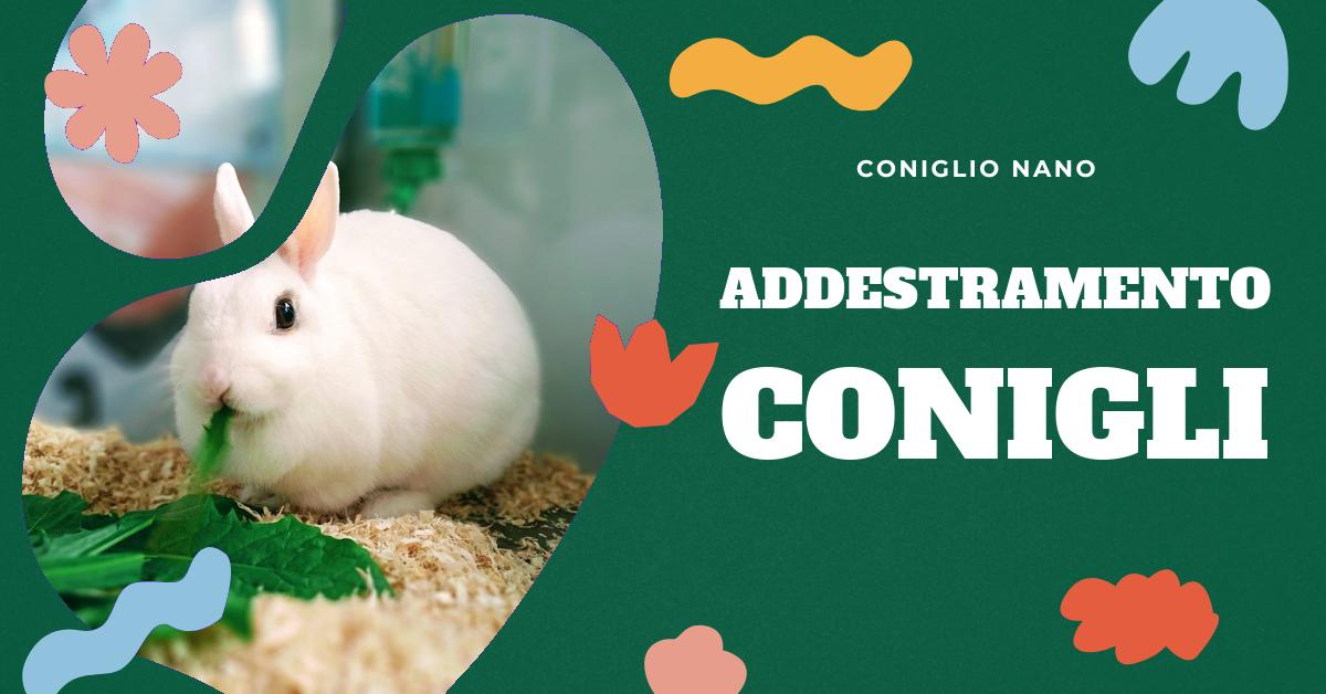 Scopri come rimproverare un coniglio in modo efficace e sicuro. Trova consigli pratici su come addestrare il tuo coniglio a non mordere, capisci perché il tuo coniglio morde e cosa fare quando il tuo coniglio morde gli oggetti. Ottieni consigli finali per addestrare il tuo coniglio che morde. Ideale per gli amanti dei conigli domestici.