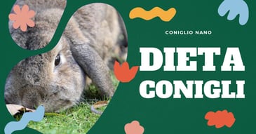 dieta-erbivora-del-coniglio-nano-domestico
