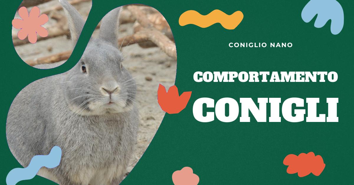 Scopri come interpretare il comportamento dei conigli quando hanno paura. Approfondisci i versi, il linguaggio del corpo e i comportamenti aggressivi dei conigli per capire meglio il tuo amico peloso e fornirgli le cure adeguate. Trova consigli utili per tranquillizzare un coniglio spaventato.