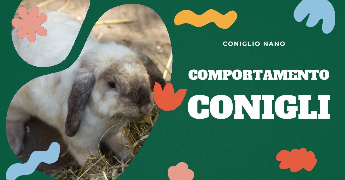 Scopri cosa significa quando il tuo coniglio ti annusa. Approfondisci la comunicazione emozionale dei conigli, impara a interpretare i loro segnali e capisci come la loro capacità di osservazione influisce sul loro comportamento. Scopri anche come riconoscere i segni di affetto e fiducia nel tuo amico peloso.