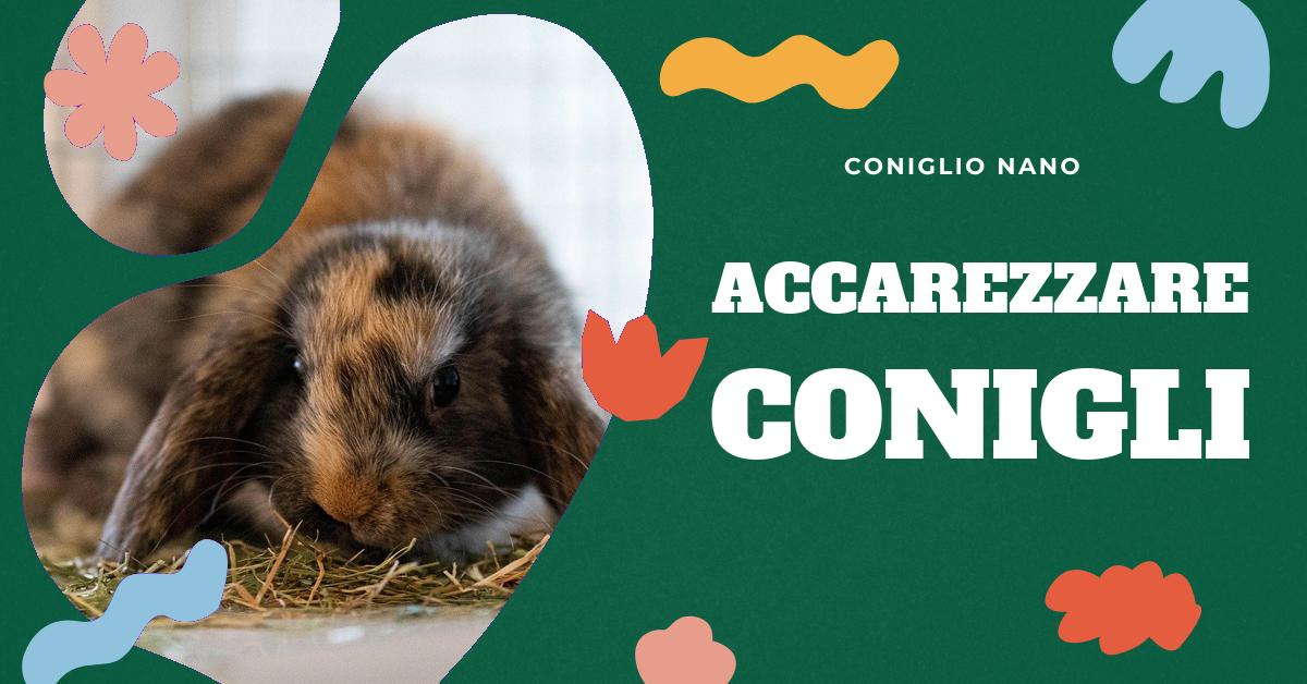 Scopri come accarezzare correttamente un coniglio per garantire il suo benessere. Trova consigli su come interagire con il tuo coniglio domestico, capire i suoi segnali e alimentarlo correttamente. Informazioni utili per chi ama i conigli e vuole prendersene cura nel modo migliore.