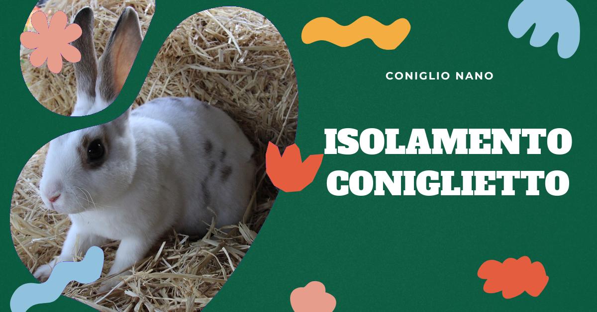 Scopri quali sono i migliori materiali per l