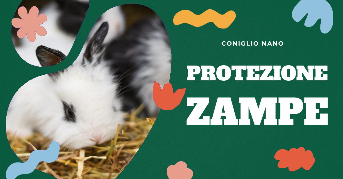 Scopri come proteggere le zampe del tuo coniglio nano dal freddo. Trova consigli su dimensioni e posizionamento della gabbia, come allestirla e se optare per un recinto. Preveni screpolature e disagi dovuti alle basse temperature.