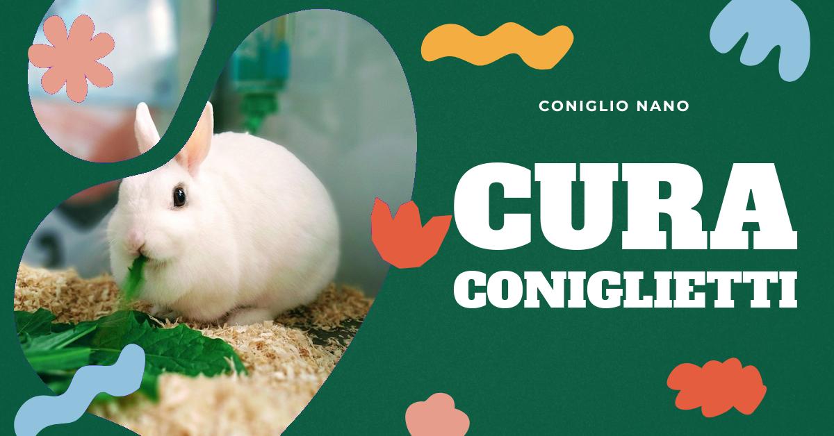 Scopri come prenderti cura dei cuccioli di coniglio appena nati, cosa fare nei primi momenti delicati dopo il parto e come alimentarli correttamente. Trova anche consigli su cosa dare da mangiare a una coniglia che ha appena partorito. Informazioni utili per gli amanti dei conigli domestici.
