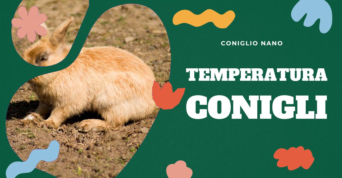 Scopri quanti gradi sopportano i conigli e come proteggerli dal freddo. Trova consigli utili per creare un nido caldo per i tuoi coniglietti e come prevenire malattie legate alle temperature esterne. Informazioni preziose per chi ama i conigli domestici.