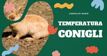 proteggere-conigli-dal-freddo