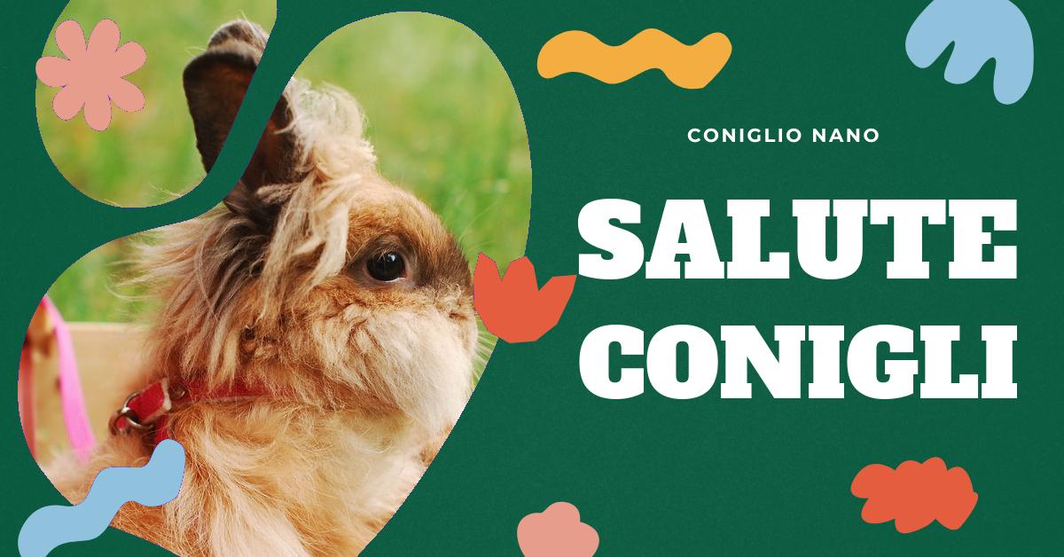 Scopri le possibili cause di morte di un coniglio nano, dai problemi di salute comuni alle malattie più gravi. Impara a riconoscere i segnali di allarme e a prevenire problemi di salute per garantire una vita lunga e felice al tuo amato animale domestico.