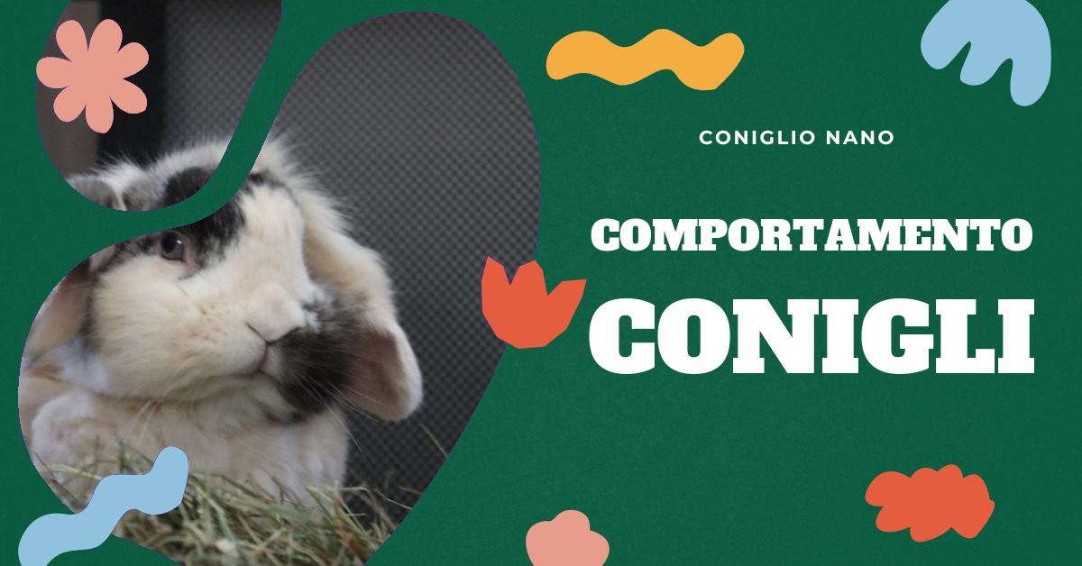 Scopri come un coniglio mostra affetto e riconosce il suo padrone. Approfondisci le tempistiche e le capacità dei conigli nel creare un legame affettivo. Trova consigli utili se il tuo coniglio domestico non sembra riconoscerti. Ideale per gli amanti dei conigli.