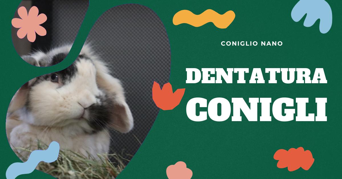 Scopri quanti denti hanno i conigli domestici, come mantenere la loro salute dentale e cosa fare in caso di problemi. Ottieni informazioni dettagliate sulla dentatura dei conigli e su come una buona dieta può contribuire alla loro salute generale.