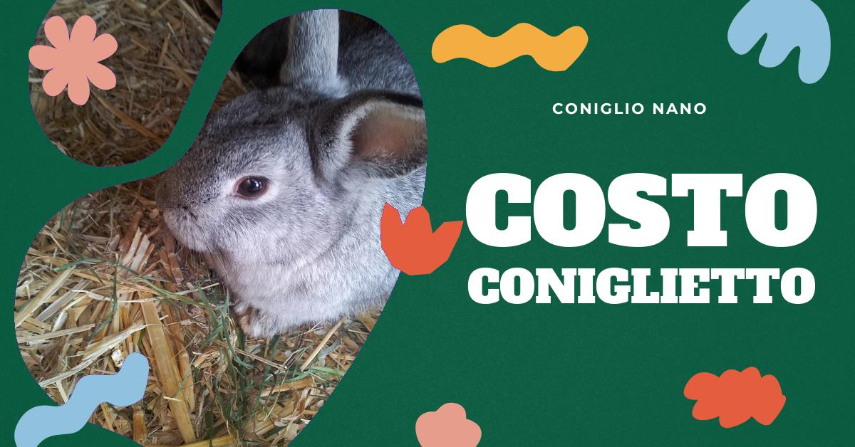 Simpatico portachiavi con coniglietto, regalo di Pasqua per gli