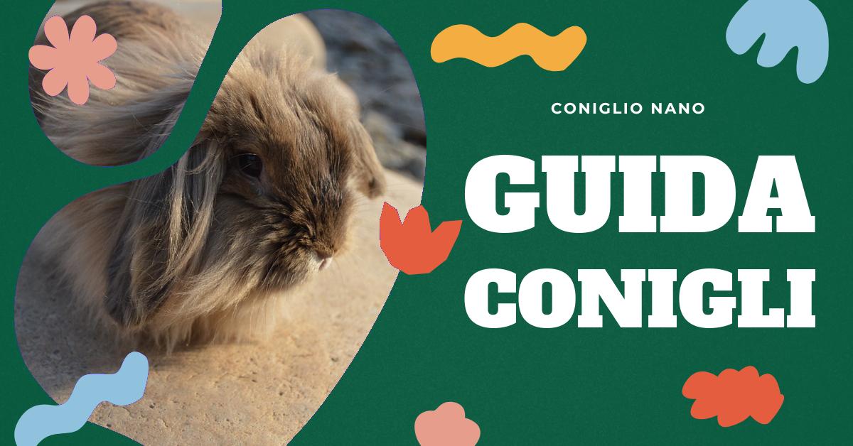 Scopri tutto sul coniglio testa di leone: dalle sue caratteristiche fisiche e comportamentali, ai consigli su come educarlo e prendersene cura. Approfondisci la sua dieta ideale e impara a interpretare i suoi segnali. Trova informazioni utili per garantire il benessere del tuo coniglietto.