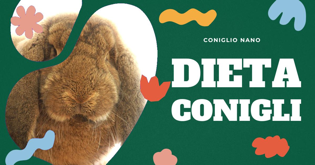 Scopri quali verdure possono mangiare i conigli per una dieta sana e bilanciata. Approfondisci l