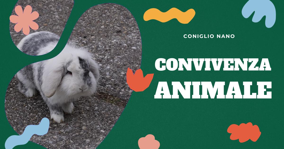 Scopri se i conigli e i cani possono convivere insieme in modo sicuro e armonioso. Trova consigli pratici su come gestire le loro interazioni, come introdurre un coniglio a un cane e come creare un ambiente domestico sicuro per entrambi. Ideale per chi ha già un cane o un coniglio in casa o sta pensando di adottare uno di questi animali.