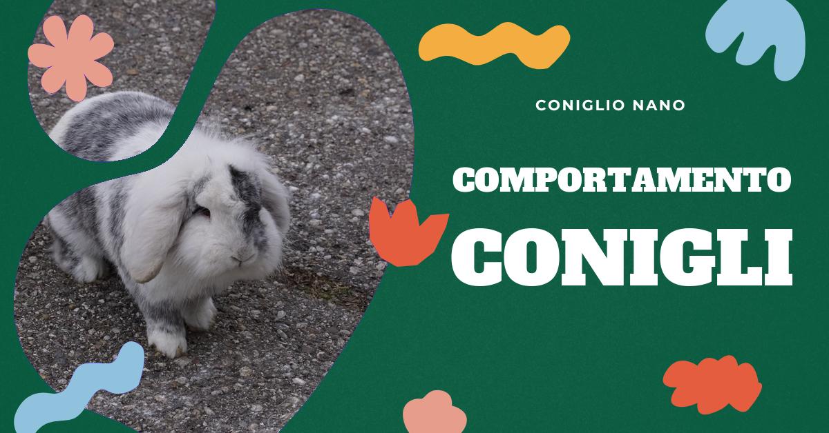 Scopri cosa fa arrabbiare i conigli, come riconoscere un coniglio arrabbiato e perché si arrabbiano. Inoltre, impara cosa spaventa i conigli e quali sono i loro nemici naturali. Informazioni preziose per chi ama i conigli domestici e vuole garantire loro un ambiente sicuro e sereno.